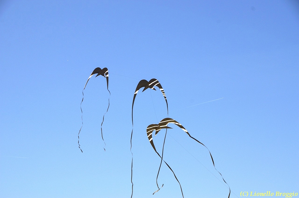 32 FESTIVAL CERVIA 2012 - 025.jpg